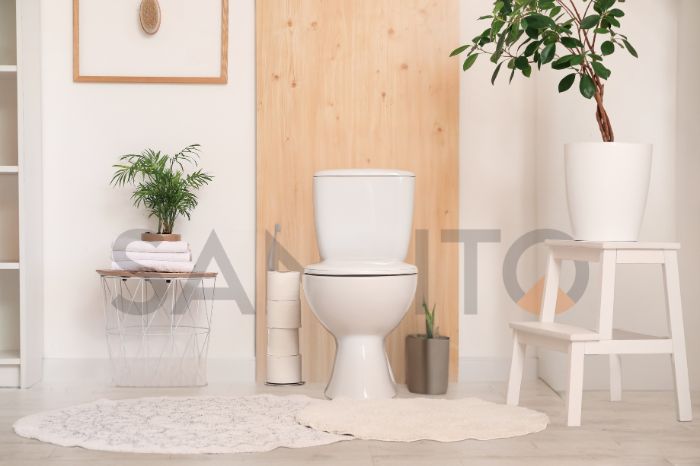 Trending Designer Wash Basin